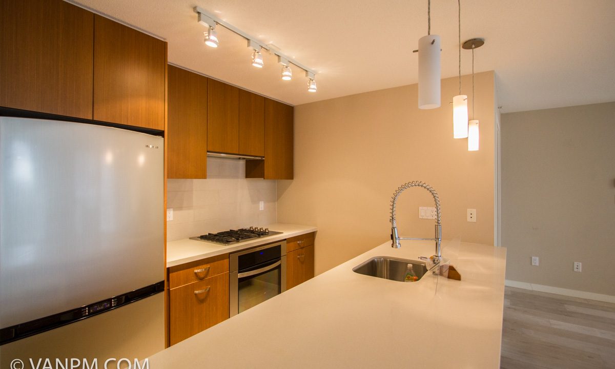 601 - 2982 Burlington Dr Coquitlam-8
