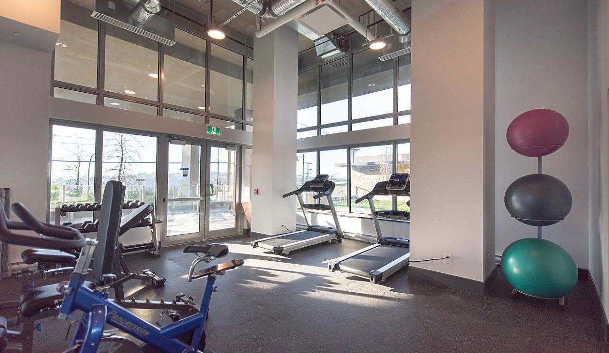 518 Whiting Way Coquitlam - Gym
